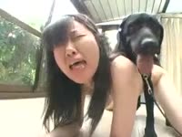 [ Zoophilia Sex ] Asian legal age teenager receives screwed by a dark pooch
